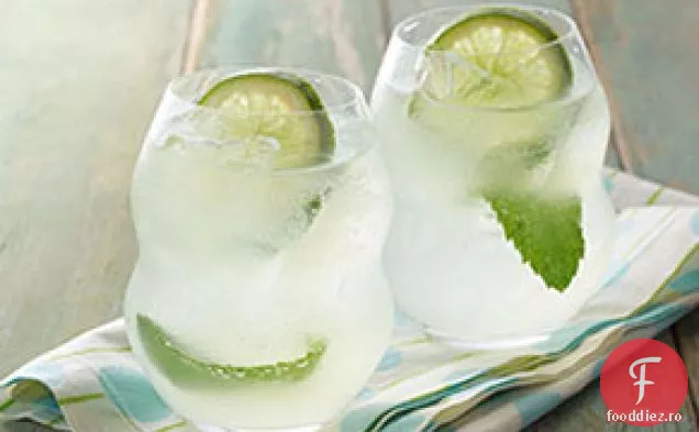 Mojito Cocktail De Lămâie-Lime