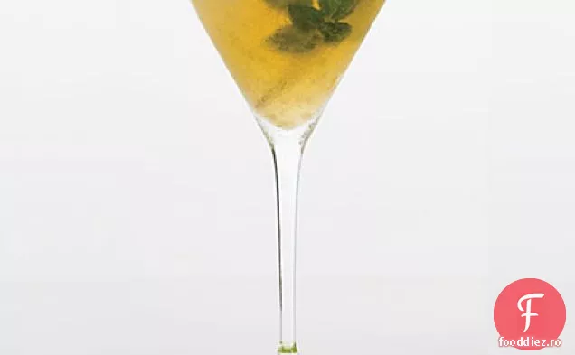 Busuioc Var Daiquiri