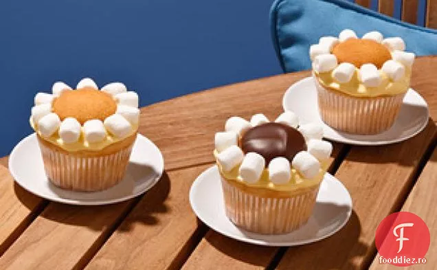Lemon Daisy Cupcakes