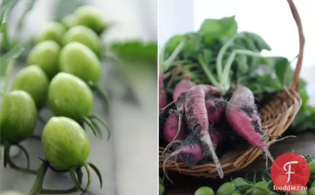 Prima Salsa a sezonului: ridiche și roșie verde