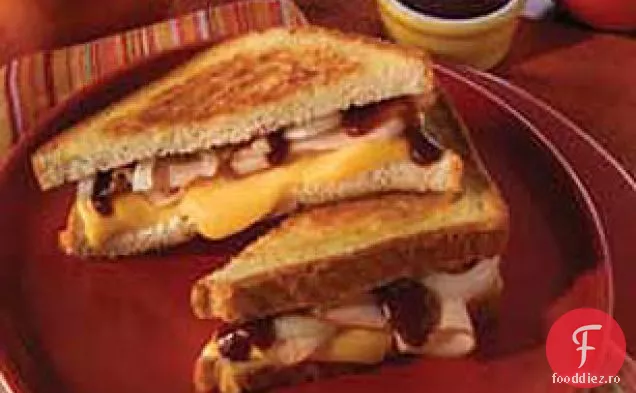 Velveeta 8GRILL de curcan BBQ