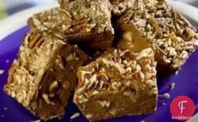 Celebrul Fudge al Elisei