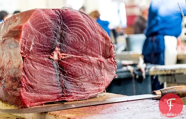 Wasabi Ton Cu Aripioare Galbene