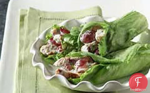 Salată Ușoară De Salată De Pui