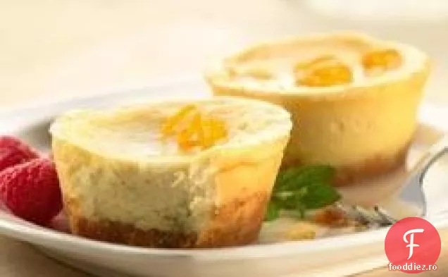 Maille Mini Cheesecakes