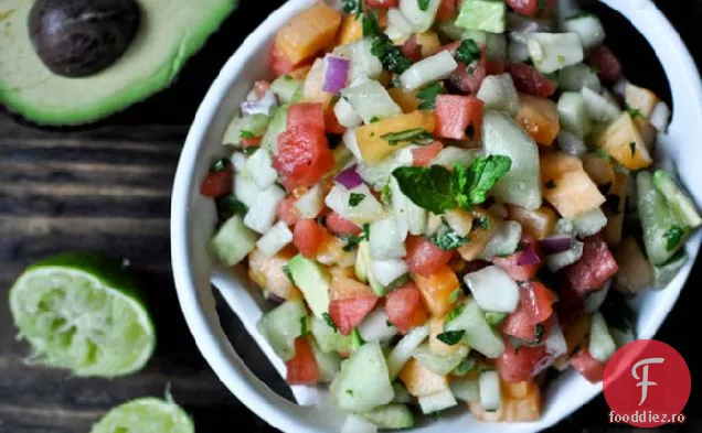 Mojito Melon Salsa