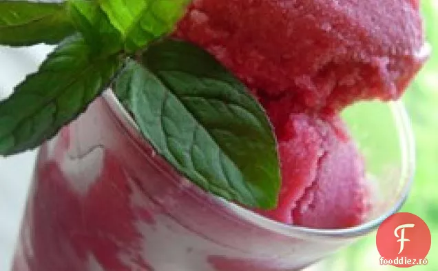 Sorbet Triplu De Fructe De Pădure