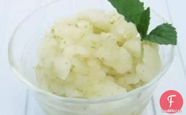 Sorbet Mojito