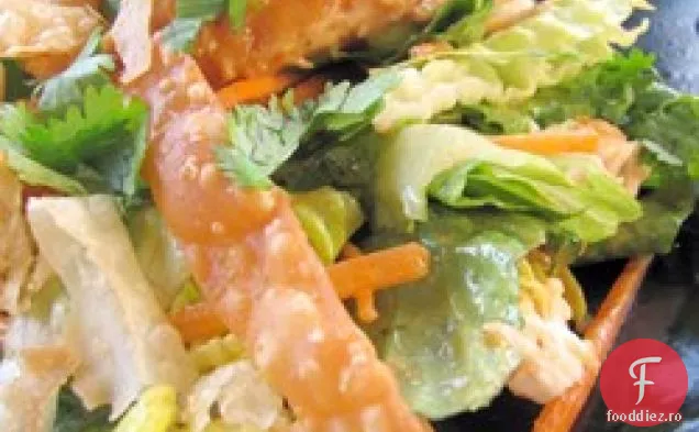 Salată chineză de pui III