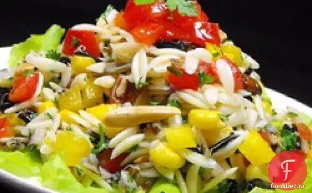 Orzo Bellepepper și salată de orez sălbatic