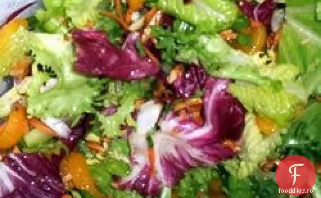 Aruncat Romaine și salată de portocale