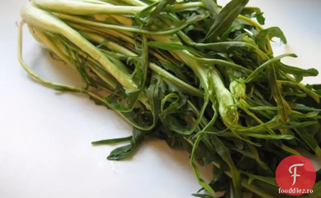 Îmbrăcăminte Puntarella