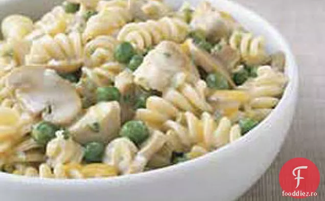 Turcia Tetrazzini