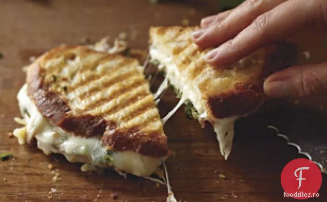 Mozzarella Pesto Panini