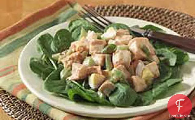 Catalina salata de pui