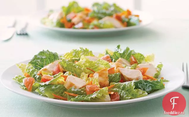 Salată Proaspătă De Pui De Legume