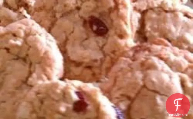 Cookie-Uri De Vase I