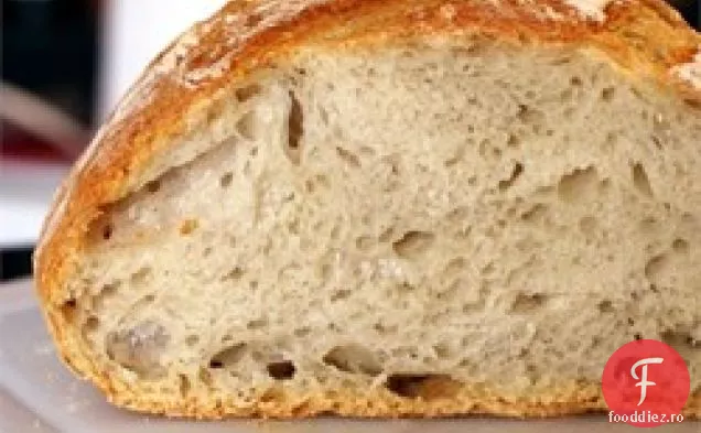 Pâine În Stil Artizanal Fără Frământare