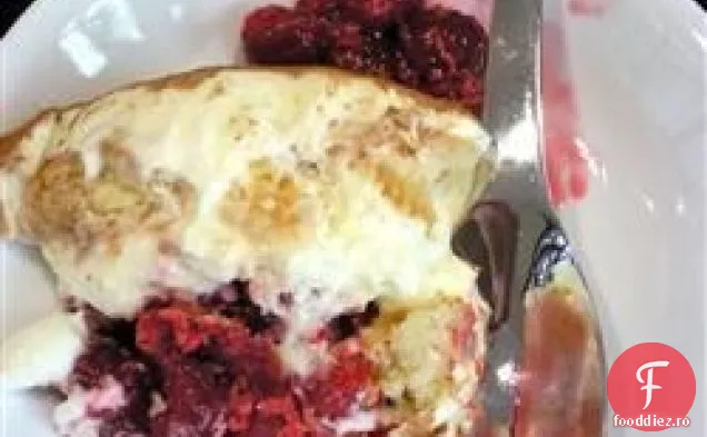 Zmeura Tiramisu