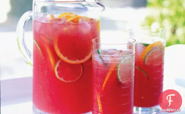 Sangria Punch