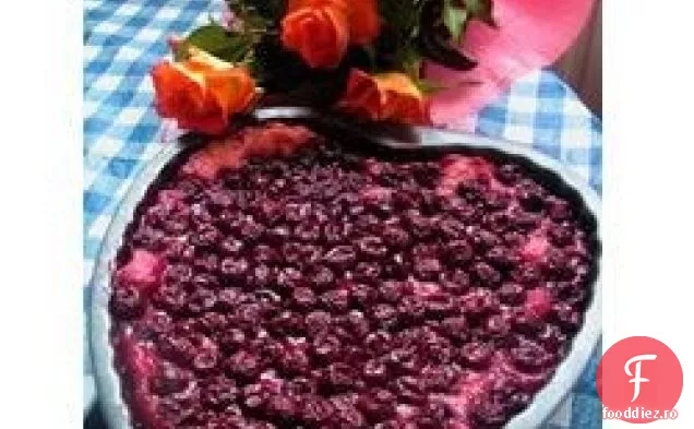Cherry Dump Budinca
