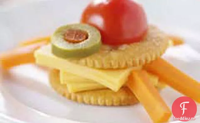Turtle Cracker Critter