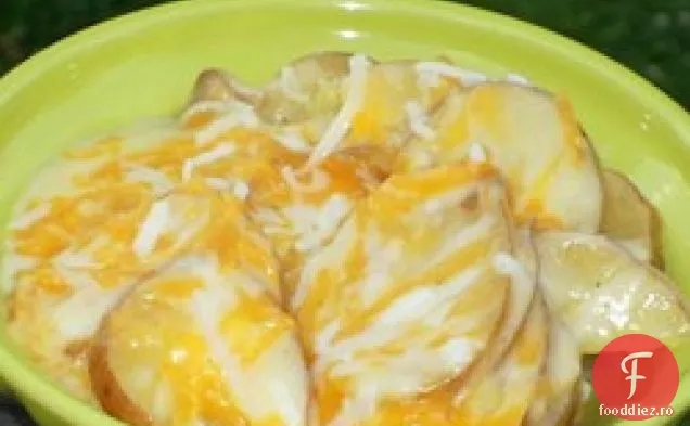 Rapid și ușor Cheesy cartofi roșii franțuzești