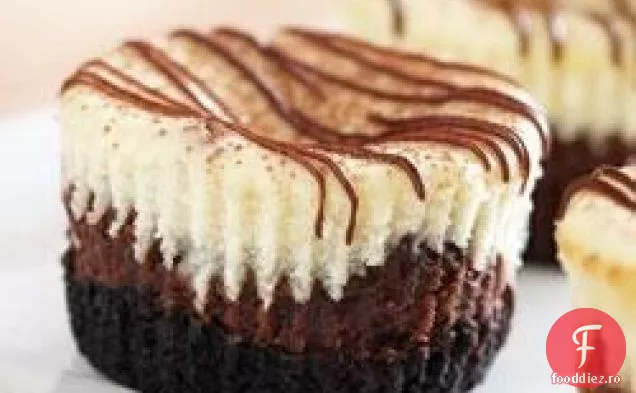 Mini Cheesecakes Cu Alune De Ciocolată