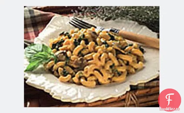 Paste Florentine