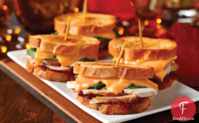 Mini Curcan-Afine Se Topește