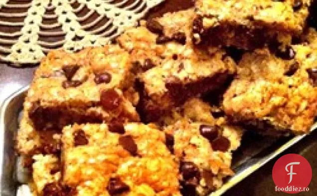 Ciocolată Fulgi De Ovăz Brownies