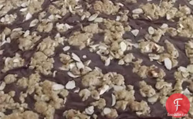 Fudge Nut Fulgi De Ovăz Baruri