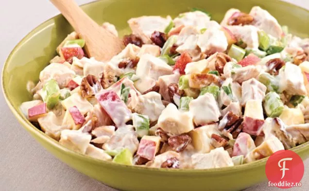 Recoltați Salata De Curcan