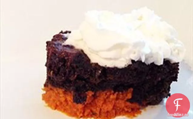 Ciocolata Dovleac Slow Cooker Tort