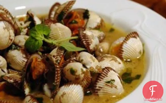 Scoici Italiano
