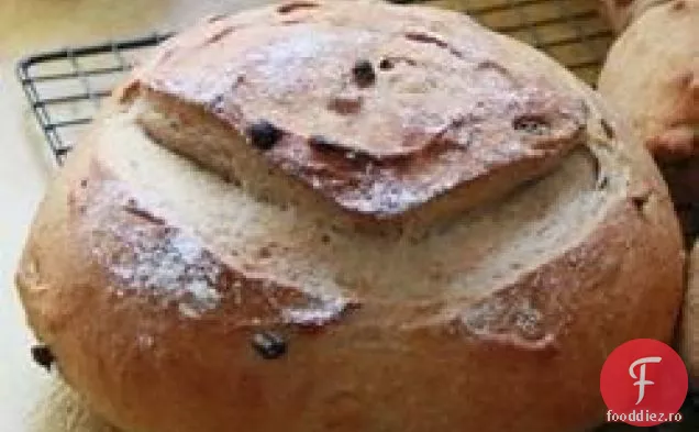Pâine Artizanală Cu Coacăz De Scorțișoară