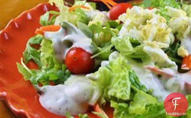 Homestyle Usturoi Ranch Dressing