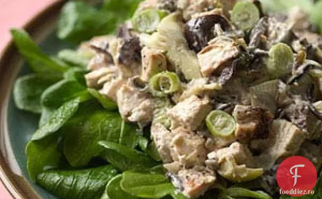 Salată De Pui De Anghinare