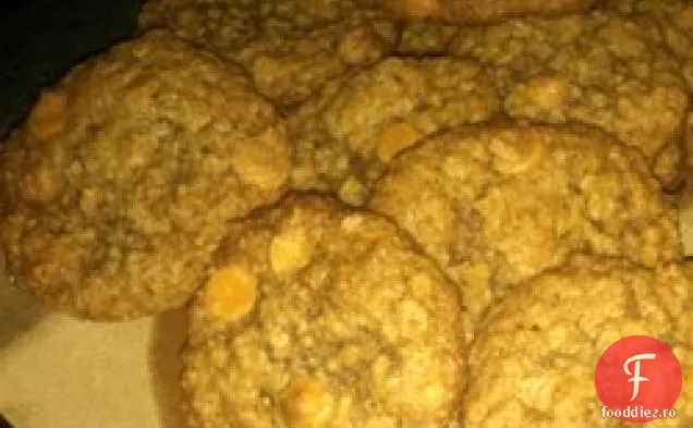 Celebrul Scotchies de ovăz Orange!