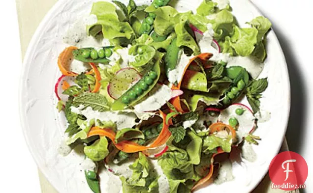 Busuioc-Ceapă Eșalotă Verde Zeita Dressing