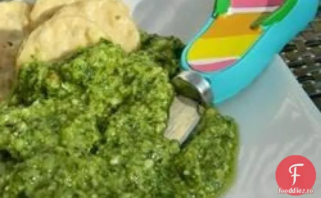 Pesto Jalapeno Cilantro cu var