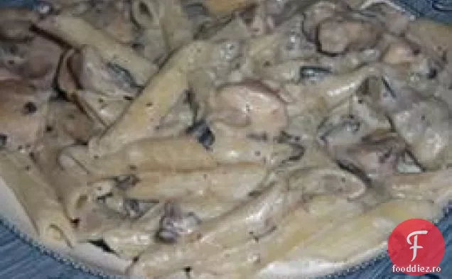 Penne De Pui Și Anghinare Cu Sos Alb