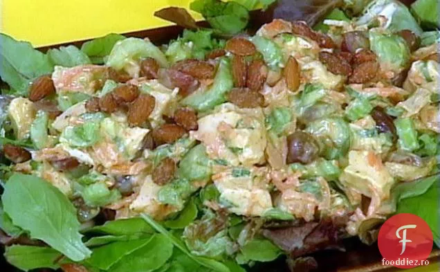 Curry-in-a-Hurry rotisor salata de pui