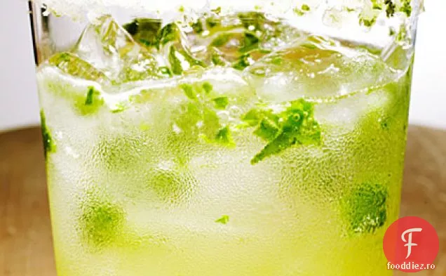 Vasile Mojito