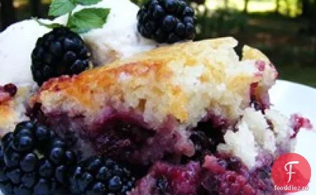 Baron ' s Blackberry Cobbler