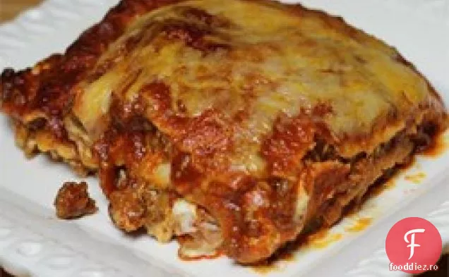 Mexican Lasagna Lite