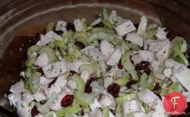 Salată de pui tarhon II
