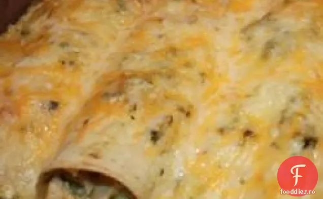 Poblano Chile Enchiladas a la Gringa