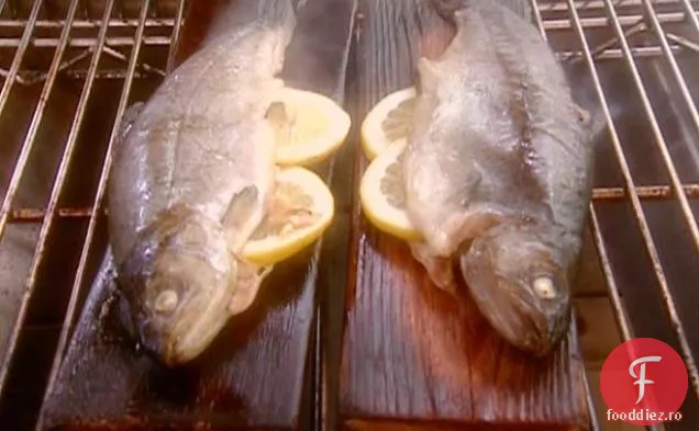 Păstrăv curcubeu prăjit pe o scândură de cedru