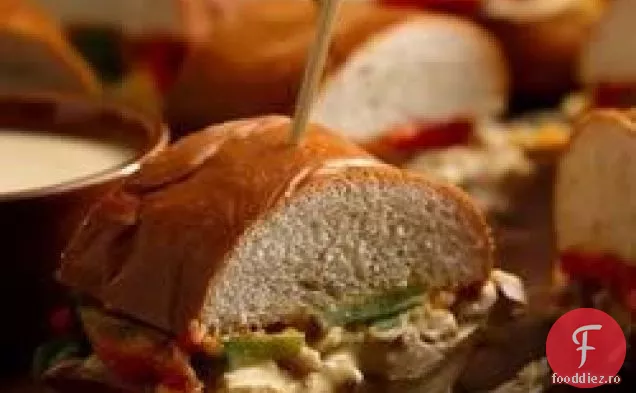 Curcan La Cuptor Hoagie